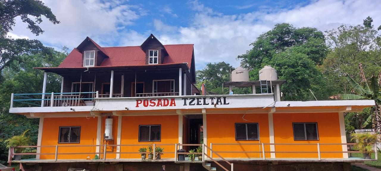 Posada Tzeltal Arroyo Agua Azul Exteriör bild