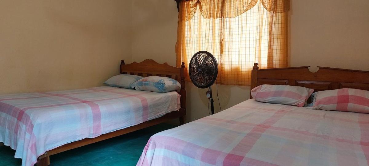 Posada Tzeltal Arroyo Agua Azul Exteriör bild