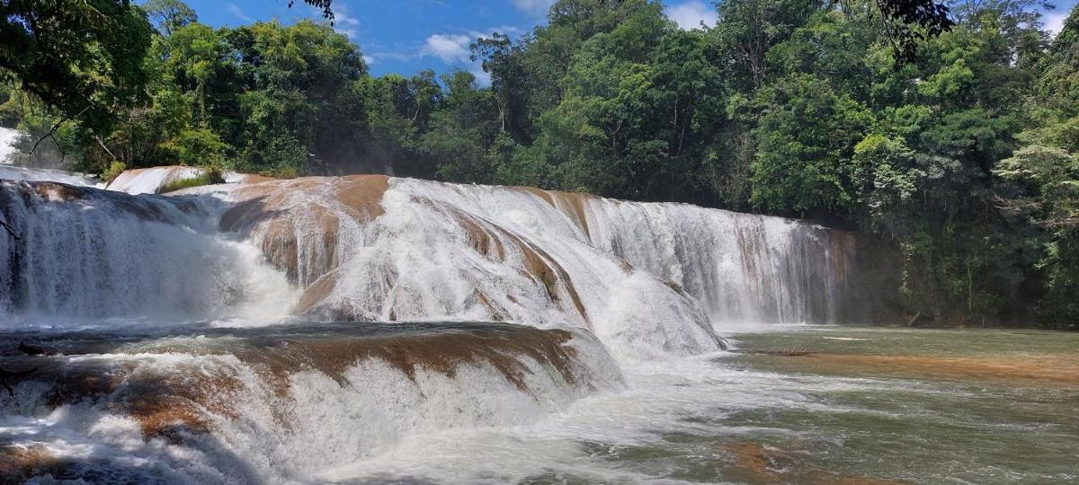 Posada Tzeltal Arroyo Agua Azul Exteriör bild